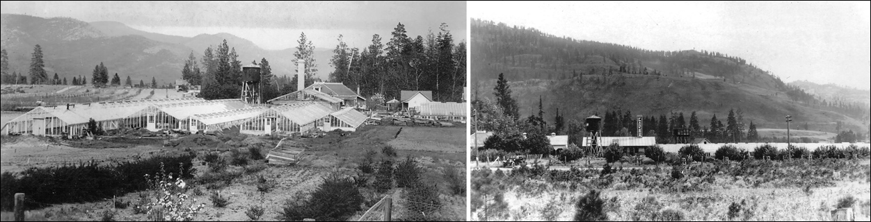 Frache Bros. Greenhouses and Nursery